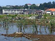 夏の門脇町 (宮城県石巻市 2011年8月) Photo:青池組